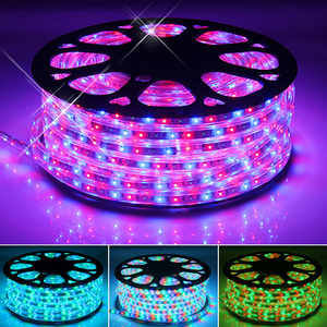 Flexiable LED strip Magic SMD3528 72LED/M